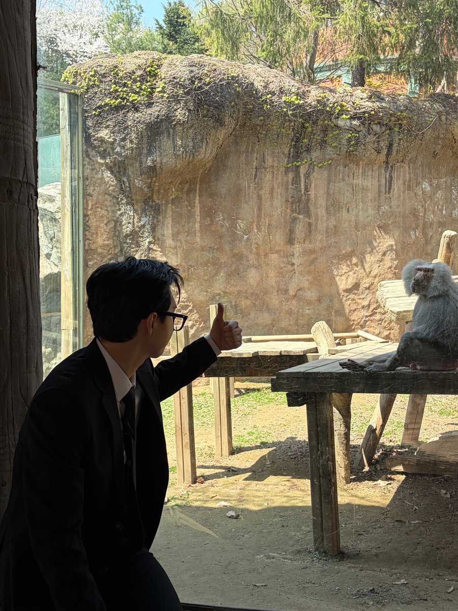 개인기 디자인 스쿨 tweet media