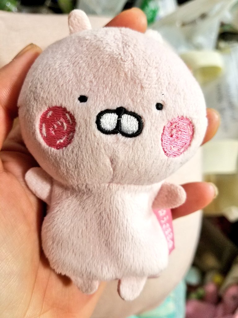 うさまるこ様 みにうさこ(◍˙∞˙◍)🎀 #うさまる