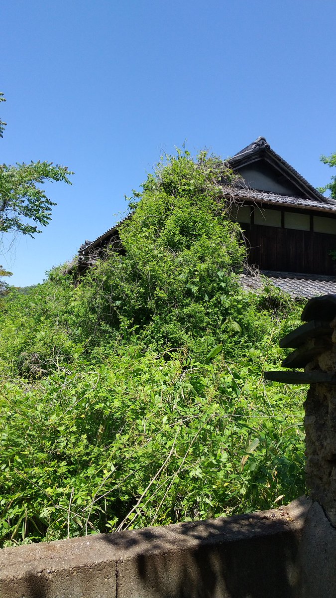 あろえもん67 tweet media