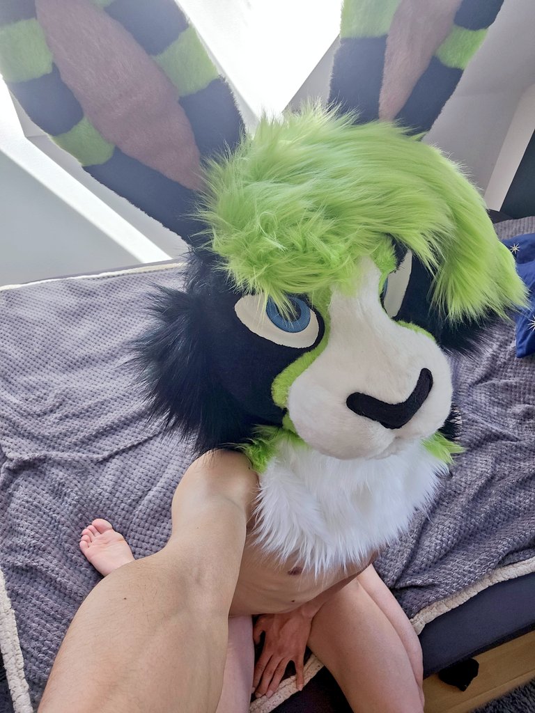 FelixTaylor666's tweet photo. Doin a quickie for ya~ #fursona #fursuit #rabbit #bunny #averageme https://t.co/SdoVsihXkg