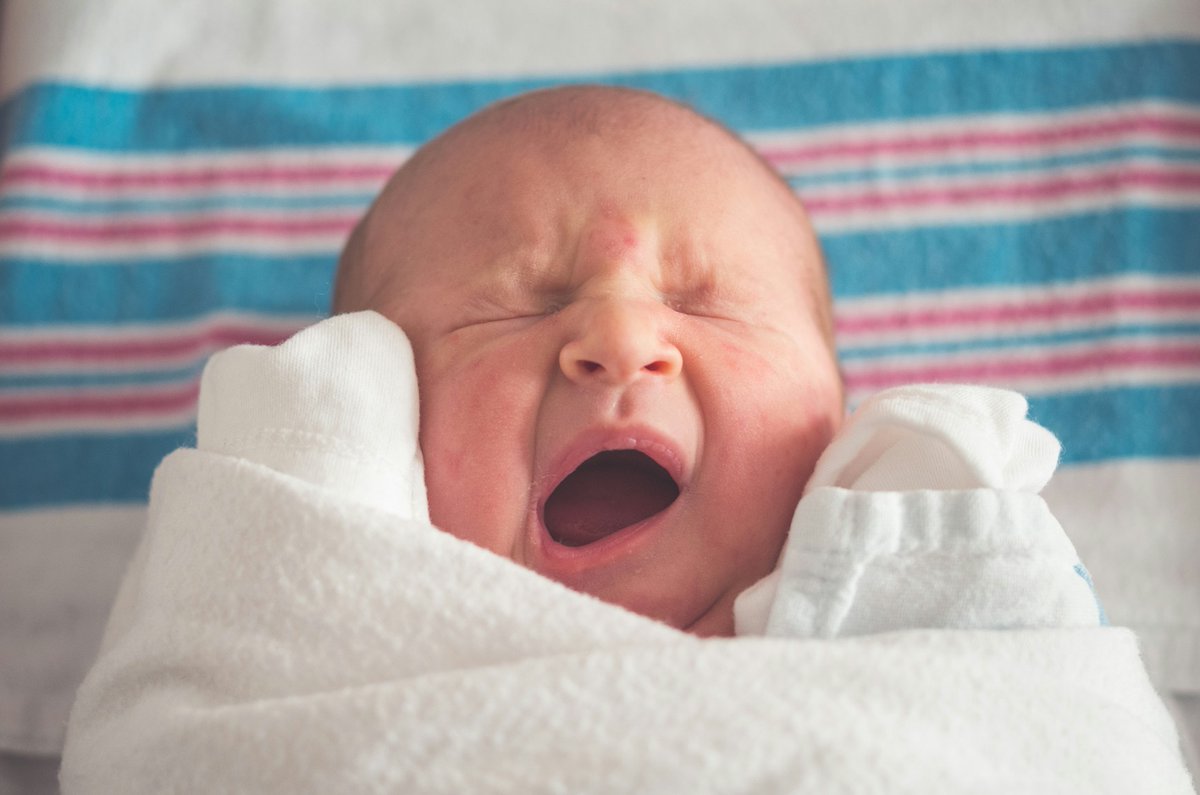 RuralDoctorsAus's tweet photo. To the wonderful midwives who do such fantastic work as part of rural and remote maternity teams - THANK YOU for all you do for mothers, babies, families and communities. Happy International Day of the Midwife 2026! 😍 @MidwivesACM @anmf_federal #IDM2026 📸 Tim Bish / @unsplash https://t.co/EgUOH5Oz43