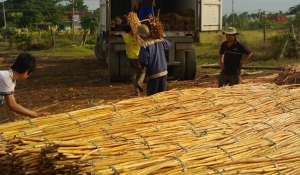 🔎 WARISAN BUDAYA DAN NUSANTARA (KERAJINAN ROTAN) 

Kerajinan rotan adalah seni menganyam atau membentuk batang rotan menjadi berbagai produk fungsional dan dekoratif : 
✅️furnitur (kursi, meja)
✅️keranjang, tas
✅️ hiasan dinding
 
Apa itu rotan?
Rotan ➡️ tanaman merambat
