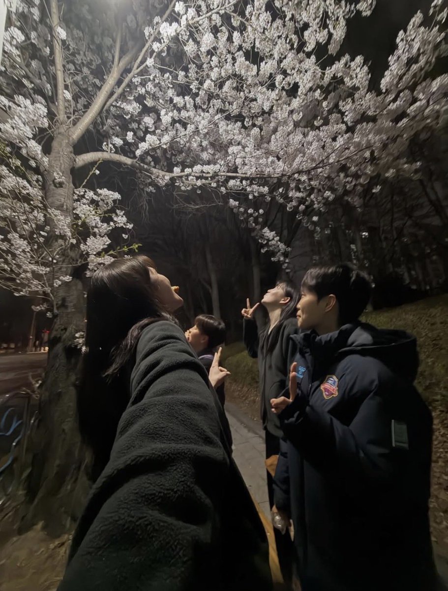 밍¹⁵¹⁷ tweet media