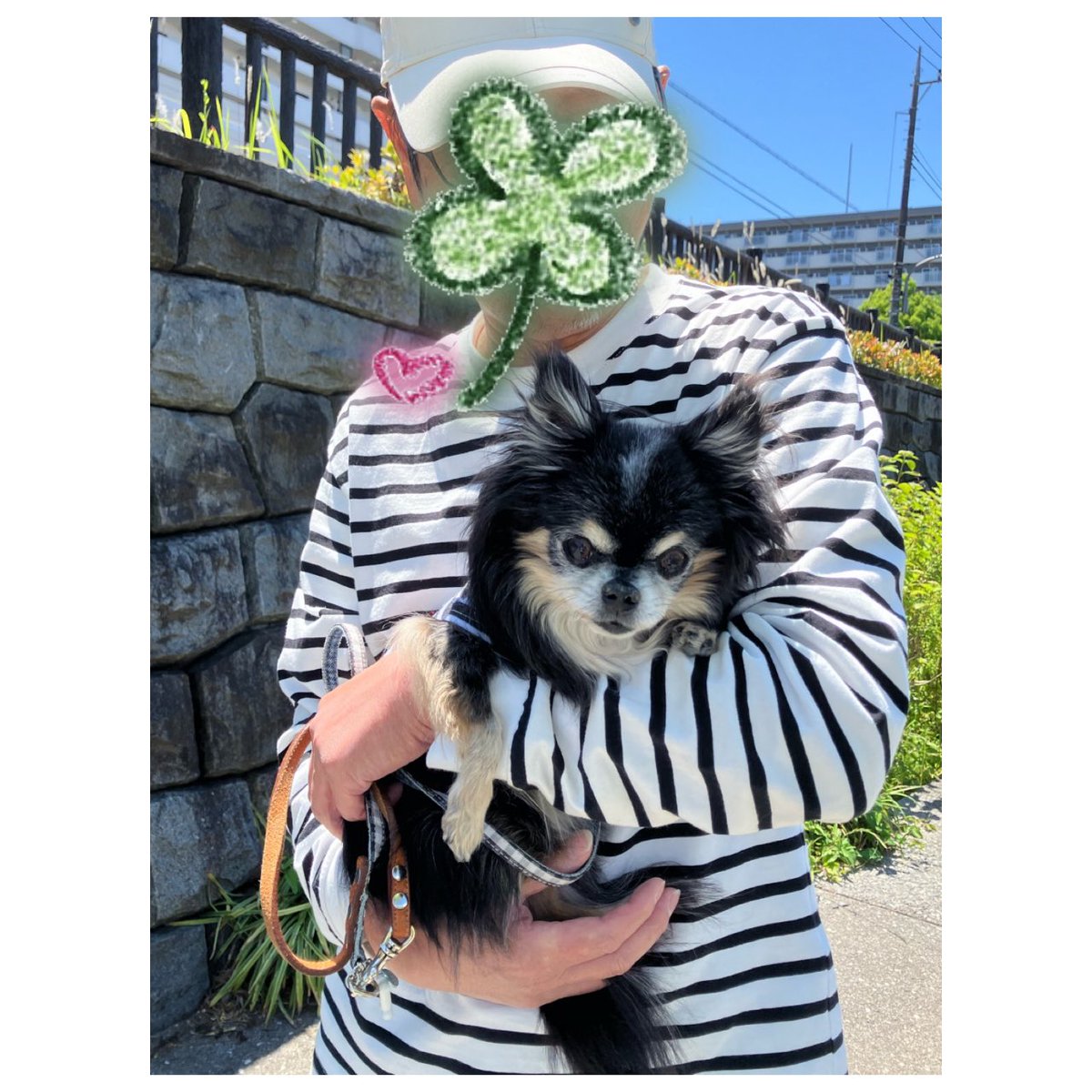 まだまだ長いGWの私。
今朝は愛犬のフードを買いに行って朝食をしんぱち食堂にて。
モーニングご飯は白米なんだね。
でも美味しいです。
そして愛犬も今日は元気だったので一安心。
また夕方薬あげに行かなきゃー

#しんぱち食堂
#モーニング
#チワワ