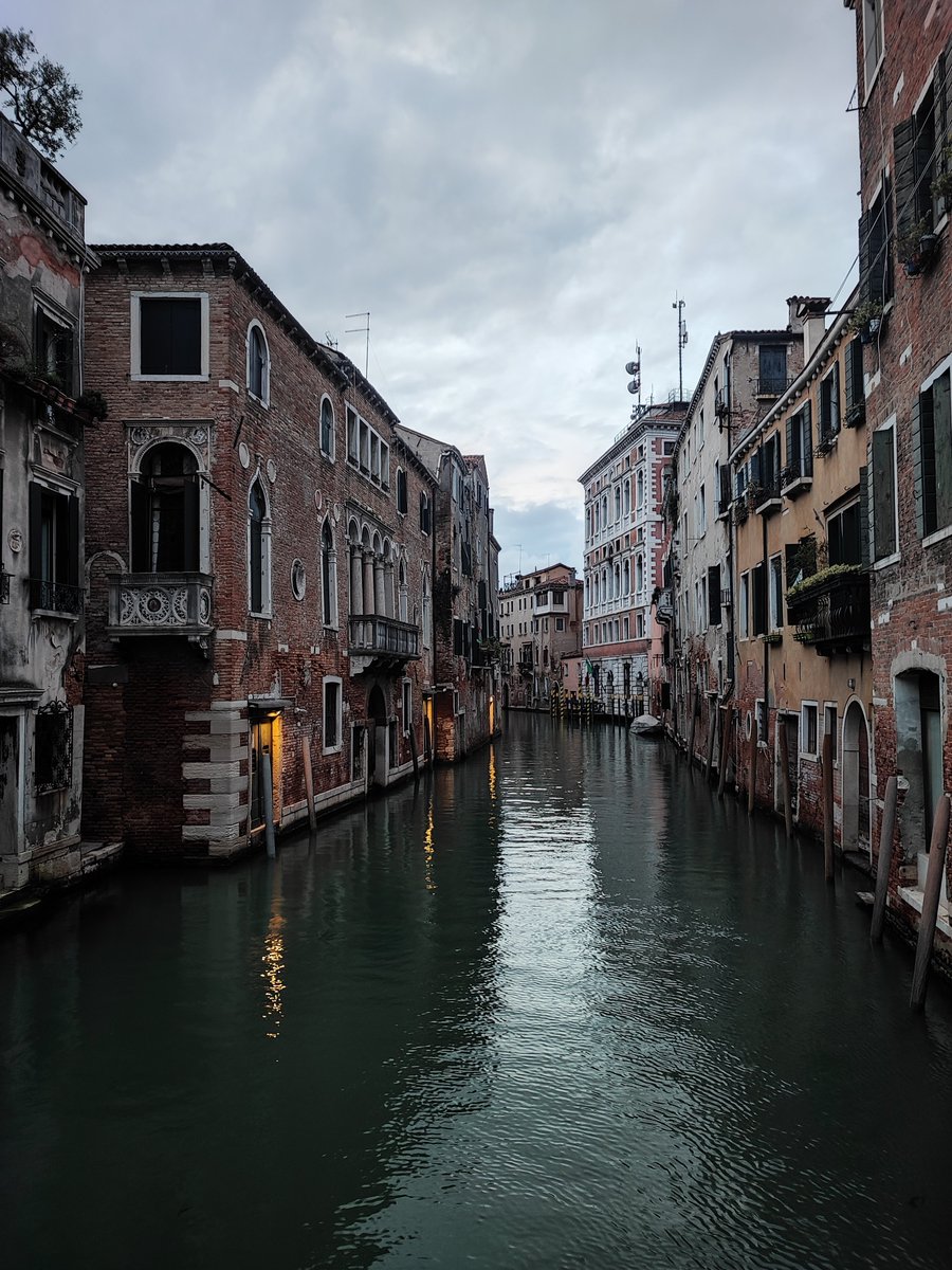 monicacesarato's tweet image. "May is a bridge between winter and summer." 
- Terri Guillemets
Good morning all from #Venice!

#aphotoofveniceaday #askmeaboutvenice #venicetalks #venicepodcast #veniceconsultant