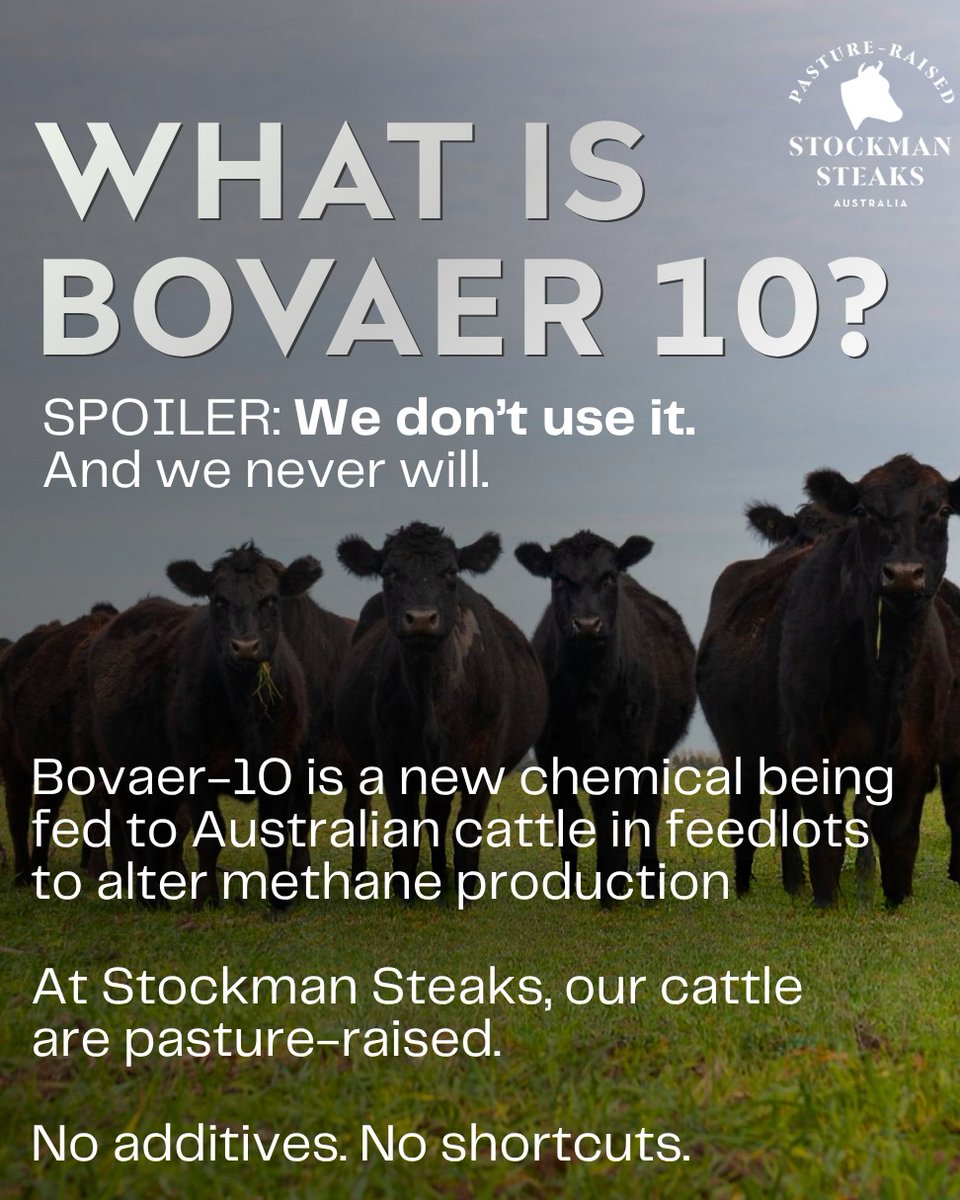 StockmanSteaks's tweet photo. Bovaer 10 is now approved in 65+ countries, including Australia—designed to cut methane in cattle. But what’s in it? Its active compound, 3-nitrooxypropanol, shuts down a stomach enzyme. Some say it’s safe—others question dosage control.

Click to read our full breakdown.