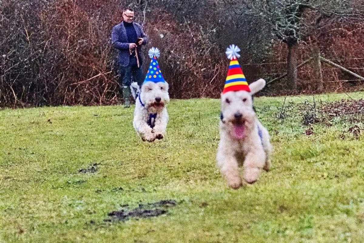 Bertie Lakeland tweet media