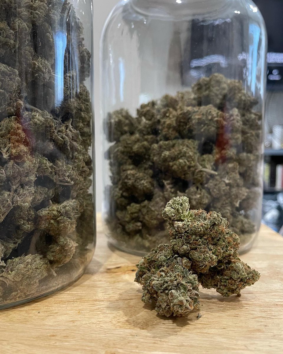 Herb Approach tweet media