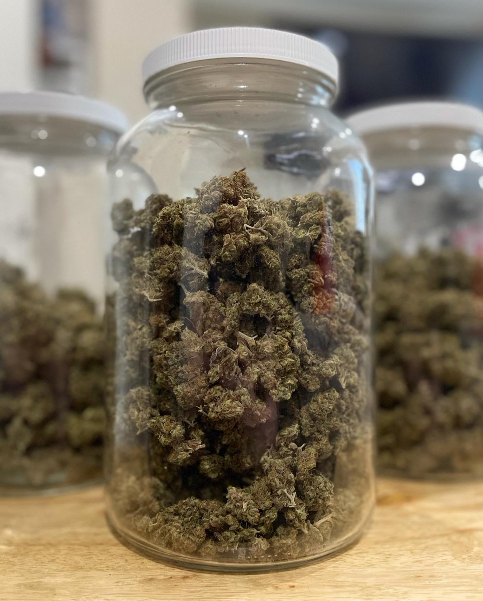 Herb Approach tweet media