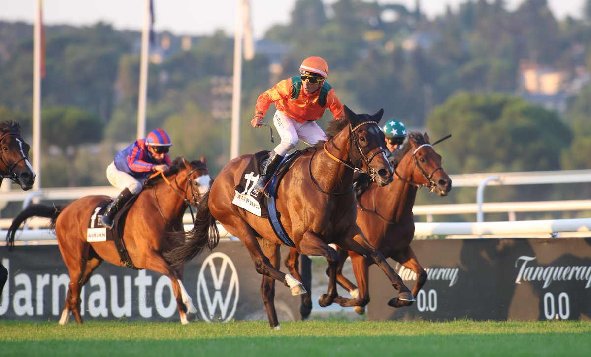 HipodromoMadrid's tweet photo. Hoy decimos adiós de las pistas de competición a una auténtica reina: ¡War Of Dance! 👑🏇

No es fácil poner en palabras todo lo que ha significado verla galopar, competir y brillar. 💫

🏆Quedará para siempre en la memoria su inolvidable victoria en el Gran Premio Memorial Duque de Toledo 2023, y ese dominio absoluto al alzarse con el Gran Premio de Madrid en 2024 y 2025, una hazaña impresionante que queda para la historia de nuestro turf. 💪🏇👏

Más allá de los títulos, War Of Dance nos regaló algo aún más valioso: inspiración. Nos enseñó lo que significa competir con el corazón, superarse en cada salida y dejar huella en cada paso. Damos las gracias a sus propietarios de la Cuadra Peques, a su entrenador y a todo su equipo, @ArizkorretaR, y a los jockeys que la llevaron a la gloria, @jgelabertb y @RNValle2. 😍

❤️Hoy comienza una nueva etapa para ella, lejos del ruido de la competición, donde le espera el descanso que tanto merece, de momento en la @YeguadaAgrado, y una nueva vida como madre, ¡¡será cubierta por el campeón Rodaballo!!
Una etapa llena de calma, de cuidado y de nuevos comienzos. ¡Los aficionados esperaremos con mucha ilusión a sus potrillos!🏇

¡¡Gracias, campeona, por cada instante!! Por cada triunfo. Por cada emoción. 💚🩶

Te deseamos todo lo mejor. Tu legado ya es eterno.🏇
