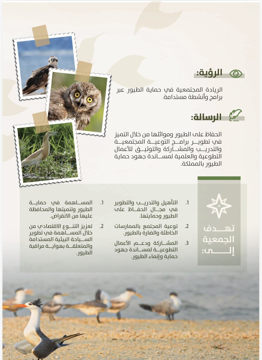 جمعية حماية الطيور tweet media