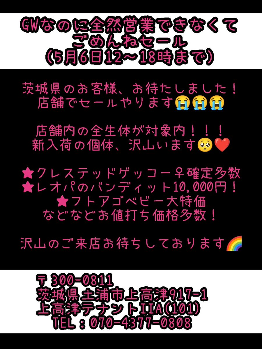 【緊急速報】GWなのに全然営業出来なくてごめんねセール😭
5月6日⏰12:00〜18:00まで!!!
新入荷個体が沢山いるので見に来て下さい🥺❤️
イベント明けの生体メンテナンスでバタバタしていますが、沢山のご来店お待ちしております🌈
 #モンスターズモンスター