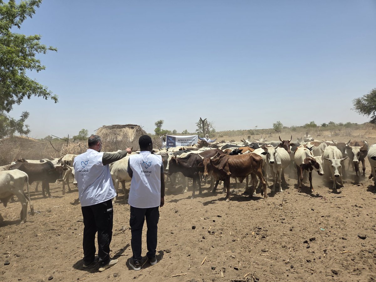 KhairatRelief's tweet photo. On the ground, carefully selecting your Qurbani.
Your trust is our amanah 🤍

Donate now 👇
https://t.co/hbNL7AEAHX

#Qurbani #EidAlAdha https://t.co/QKcEXjws7f