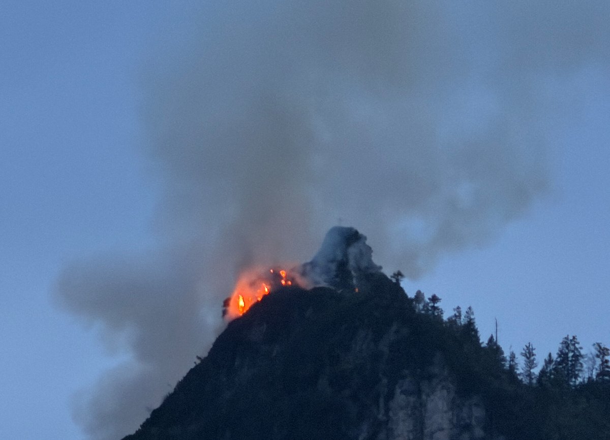 Staatszeitung's tweet image. Am #Saurüsselkopf bei Ruhpolding in den Chiemgauer Alpen brennt der Wald. Das Gebiet ist schwer zugänglich. Die Flammen bedrohen eine Trinkwasserquelle. Nun soll auch die #Bundeswehr helfen. #Brand #Bayern

bayerische-staatszeitung.de/staatszeitung/…