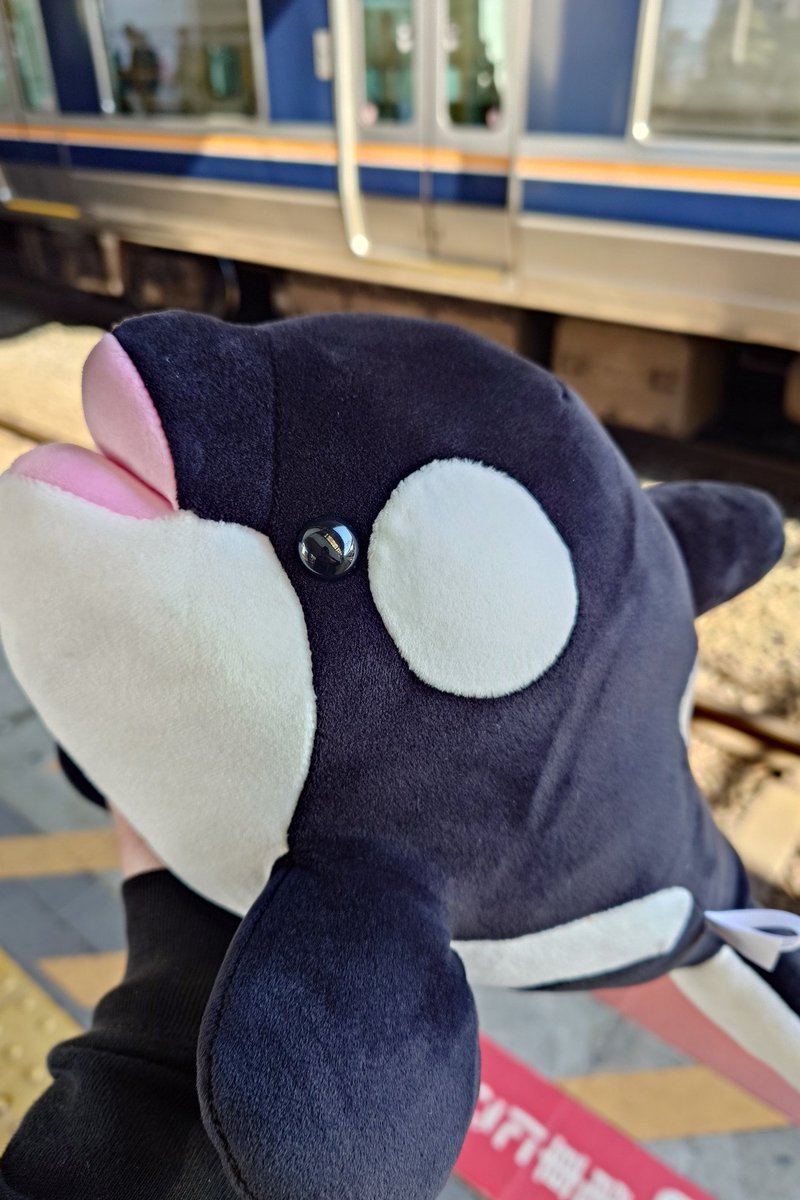 みどたん⛩️⛓️🎃🚅 tweet media