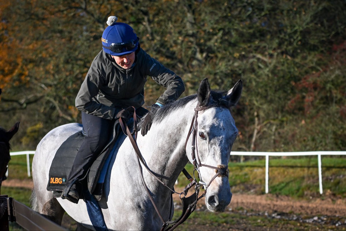 Harry Derham tweet media
