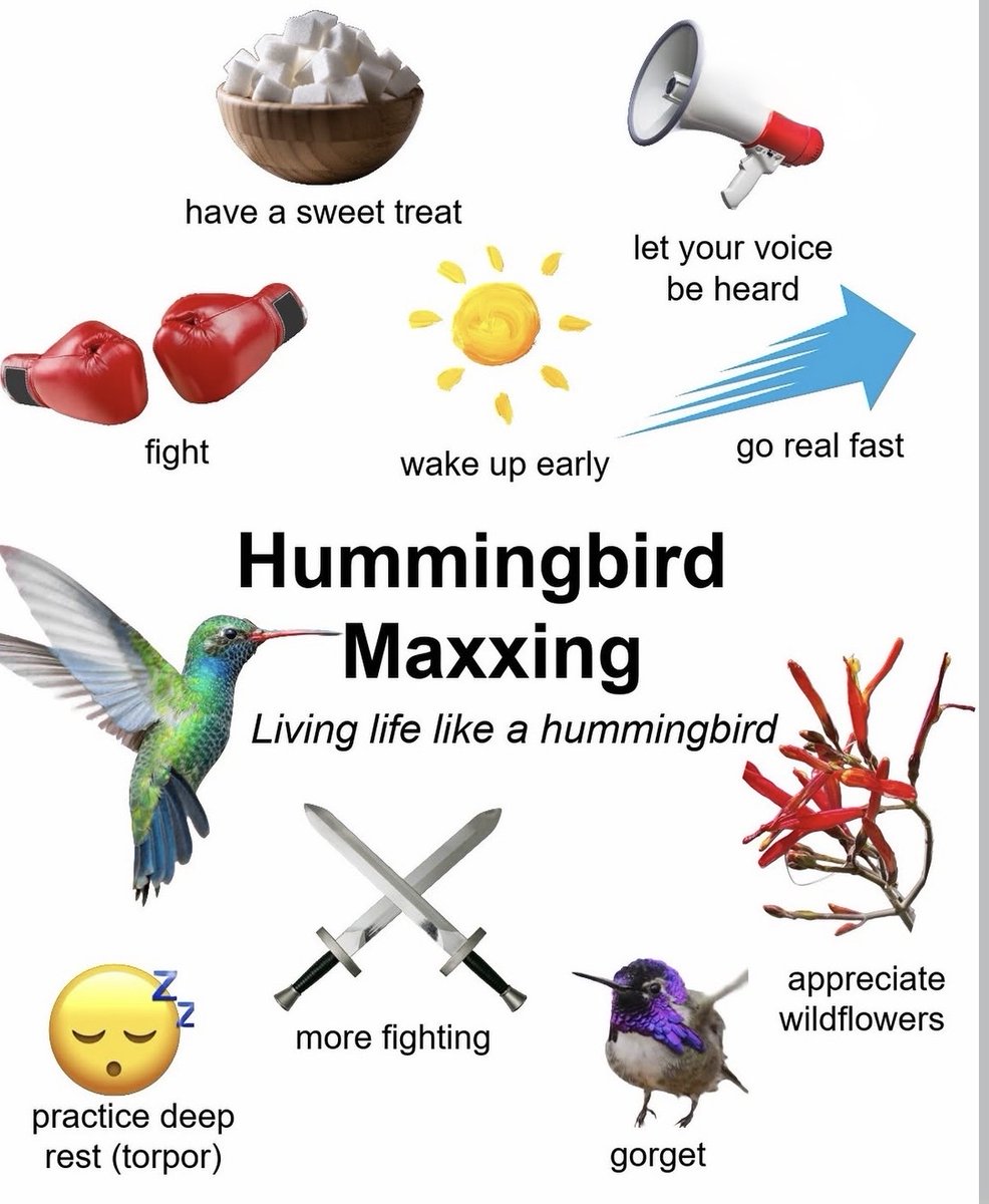 Respectful Memes (@respectfulmemes) on Twitter photo 