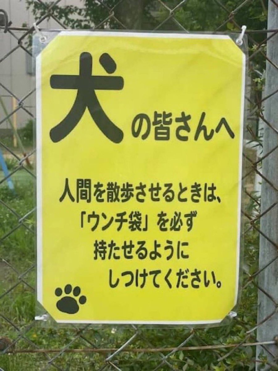 保守報道 tweet media
