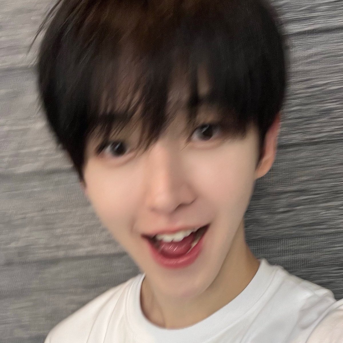 313conut's tweet photo. 너무 귀여워... https://t.co/DbHbX8Jvia