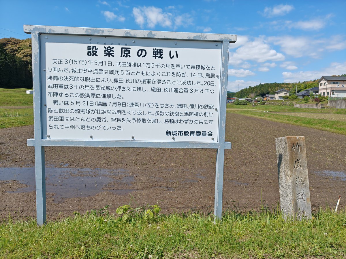 桜皇帝 tweet media