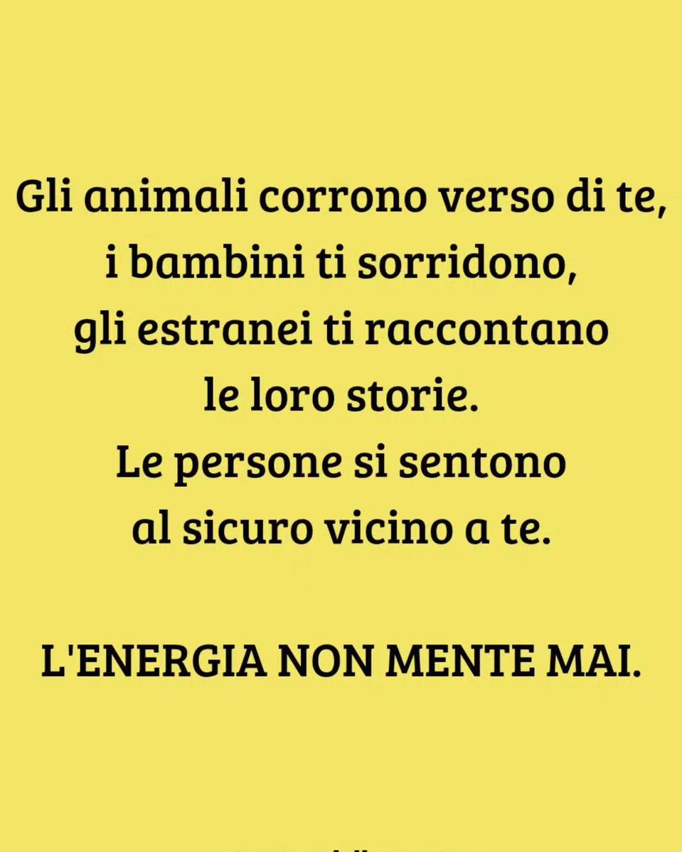 antotp's tweet image. Le #anime vere non si spiegano: si riconoscono da come fanno sentire gli altri.

Prima di tutto tu - romanzo
(Antonella Trapani)

#Buonaserata
#ScrivoQuelCheSento