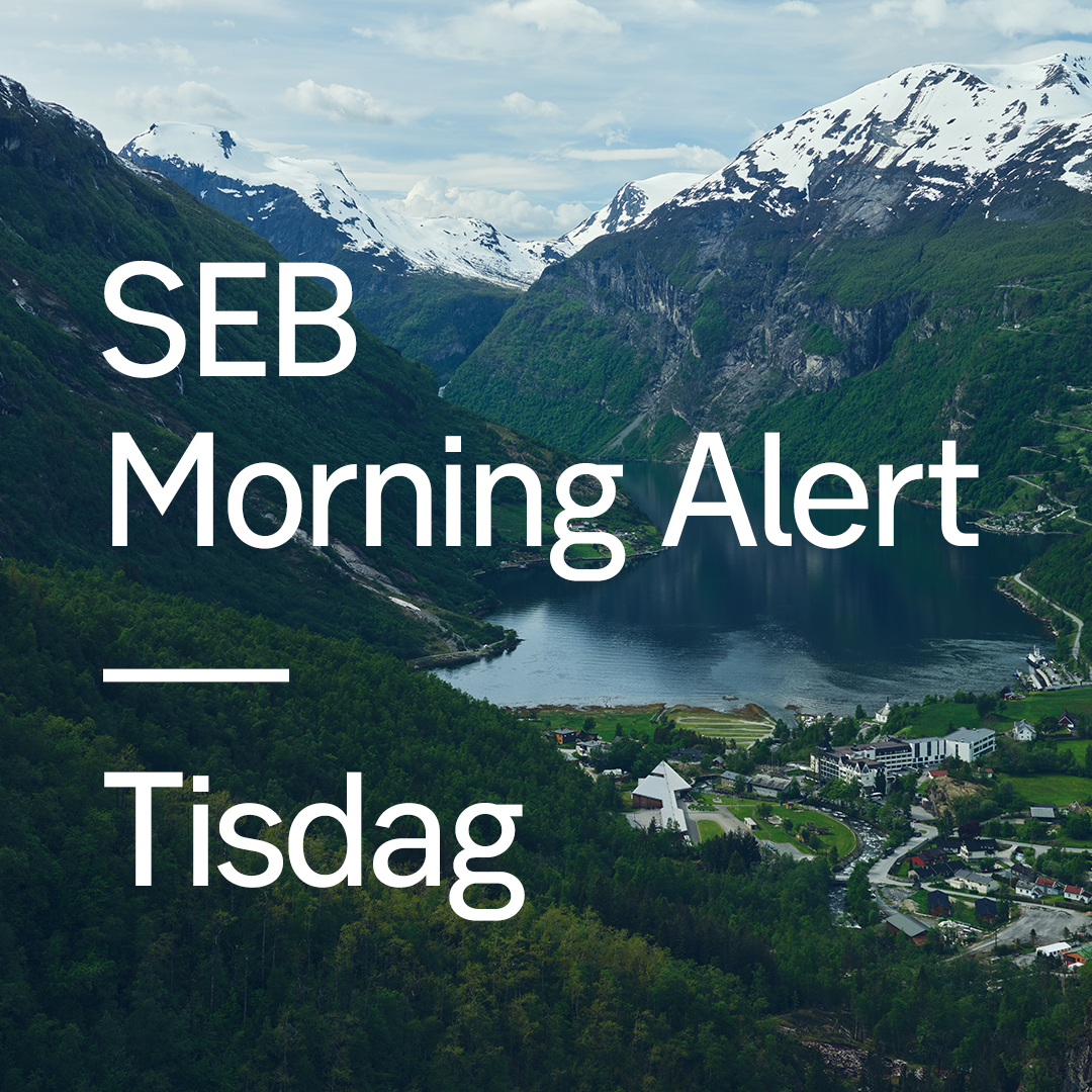 SEB tweet media
