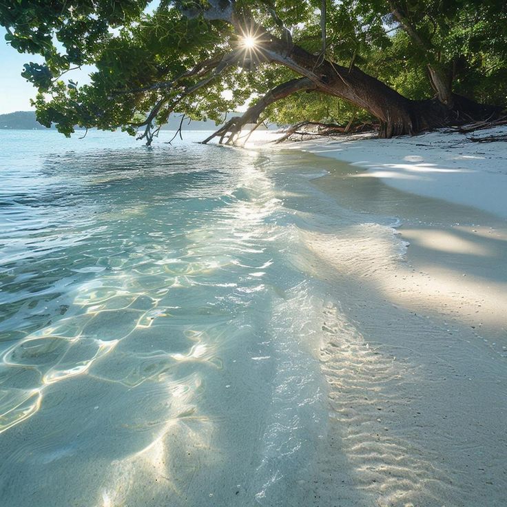 ocean tweet media