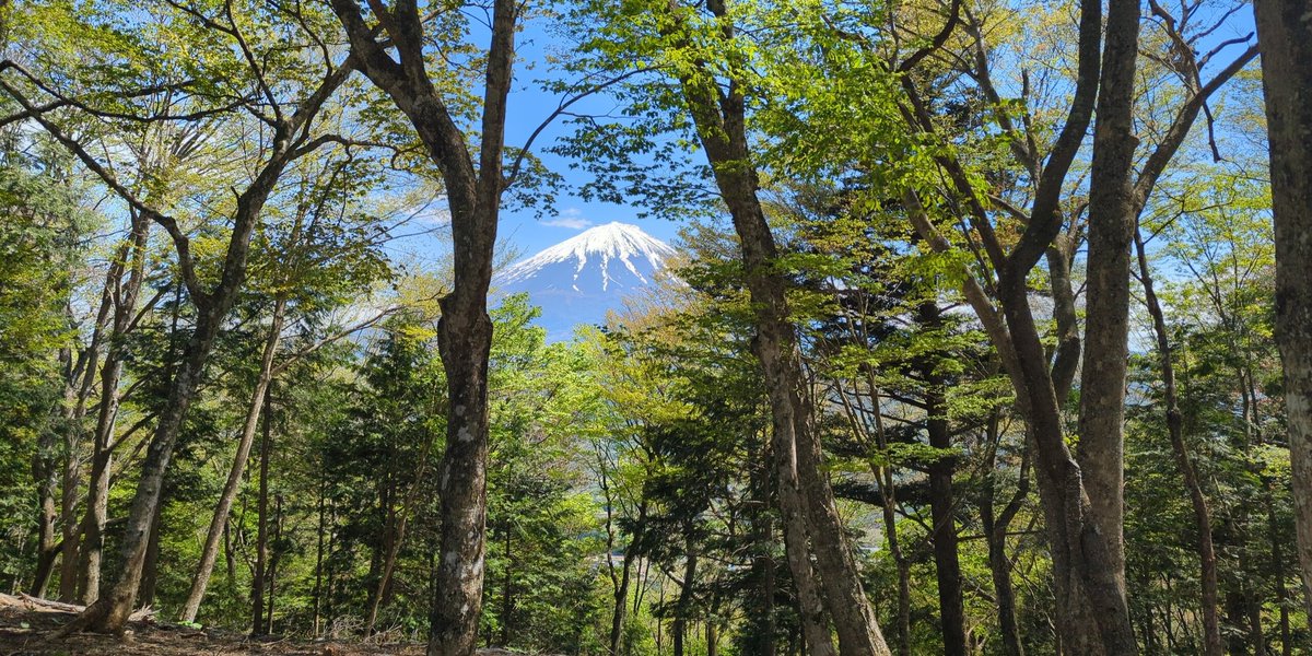 nagisaboys's tweet photo. なるさわの道の駅もはじめてでしたけど足和田山(五湖台)もはじめて、想像以上に絶景どかーんでした
#ねこねこドライブ #ハイキング #runandwalk https://t.co/KCi1PDMyfI
