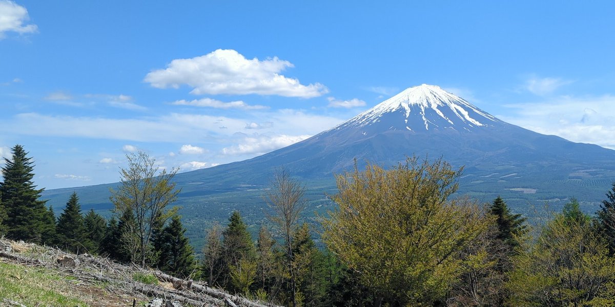 nagisaboys's tweet photo. なるさわの道の駅もはじめてでしたけど足和田山(五湖台)もはじめて、想像以上に絶景どかーんでした
#ねこねこドライブ #ハイキング #runandwalk https://t.co/KCi1PDMyfI