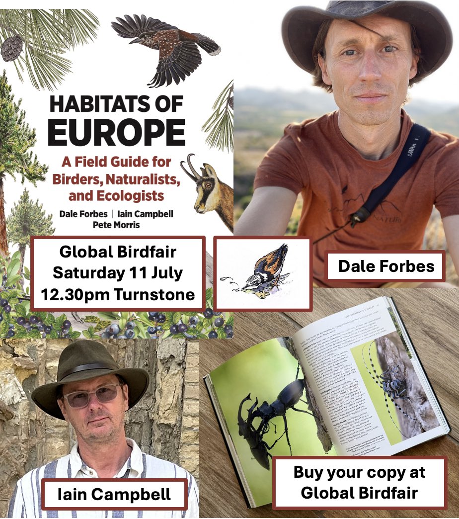 Global Birdfair tweet media