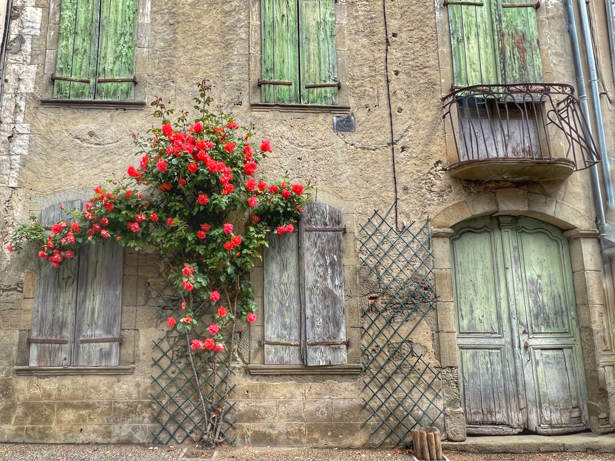 lifefrance's tweet image. Daily #photooftheday from #France - May is the month of roses 🌹♥️
📷 Camon, Ariege
#thegoodlifefrance