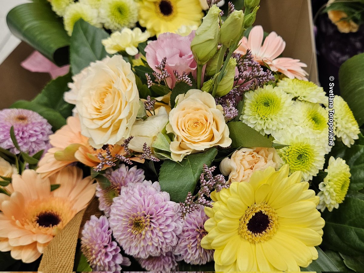 LanaToro21's tweet photo. @Nata27Best Доброе утро, Наталина🌞🫖🧁 Спасибо за прекрасные фотокадры😇🥰🤗💝📷 У нас сегодня +21, ночью чуть полило, а так падает до +16 и до выходных обещают дождик⛈️☂️⛈️
Замечательного настроения, много радости и добра. Берегите себя и семью🤗🪻🌸🪻
#Photobyme📷 #Sundayshots https://t.co/6Bn3Xy7GT1