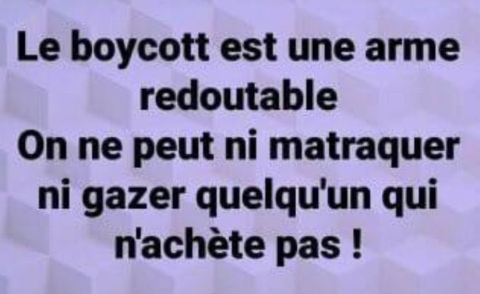 kyfranc tweet media