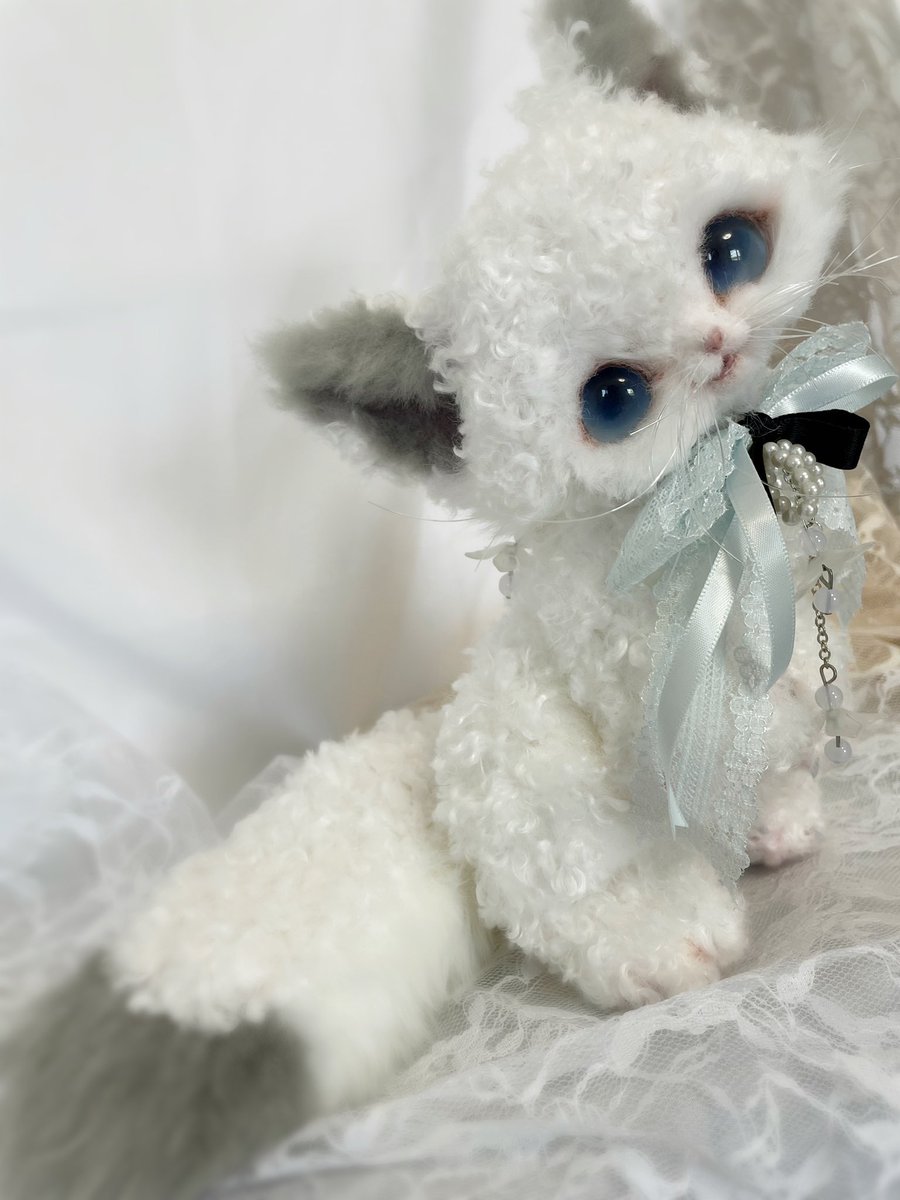 くるくる巻き毛♡デボンレックス子猫♡メリーちゃん♡アートドール♡ぬいぐるみ♡ 綺麗で可愛いデボンレックスの子です🩶✨ ご縁お待ちしております