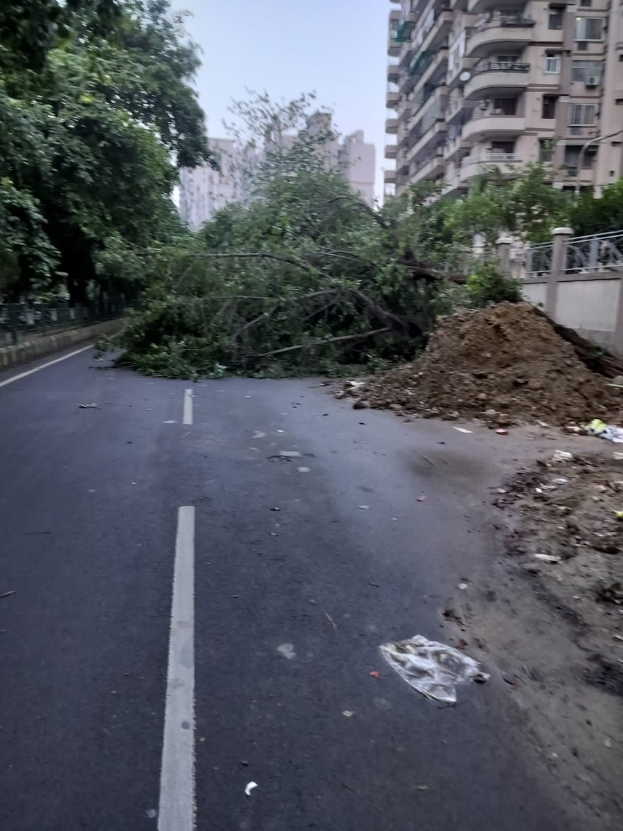 How many trees should fall in order for <a href="/VikramadityaSM/">Vikramaditya Singh Malik</a> to take note of the dire situation ??
More and more old &amp; big trees are falling all around in indirapuram due to senseless digging by Nagar Nigam works
<a href="/myogiadityanath/">Yogi Adityanath</a>
<a href="/CMOfficeUP/">CM Office, GoUP</a>
<a href="/myogioffice/">Yogi Adityanath Office</a> <a href="/PMOIndia/">PMO India</a>
<a href="/moefcc/">MoEF&CC</a>
<a href="/byadavbjp/">Bhupender Yadav</a>
