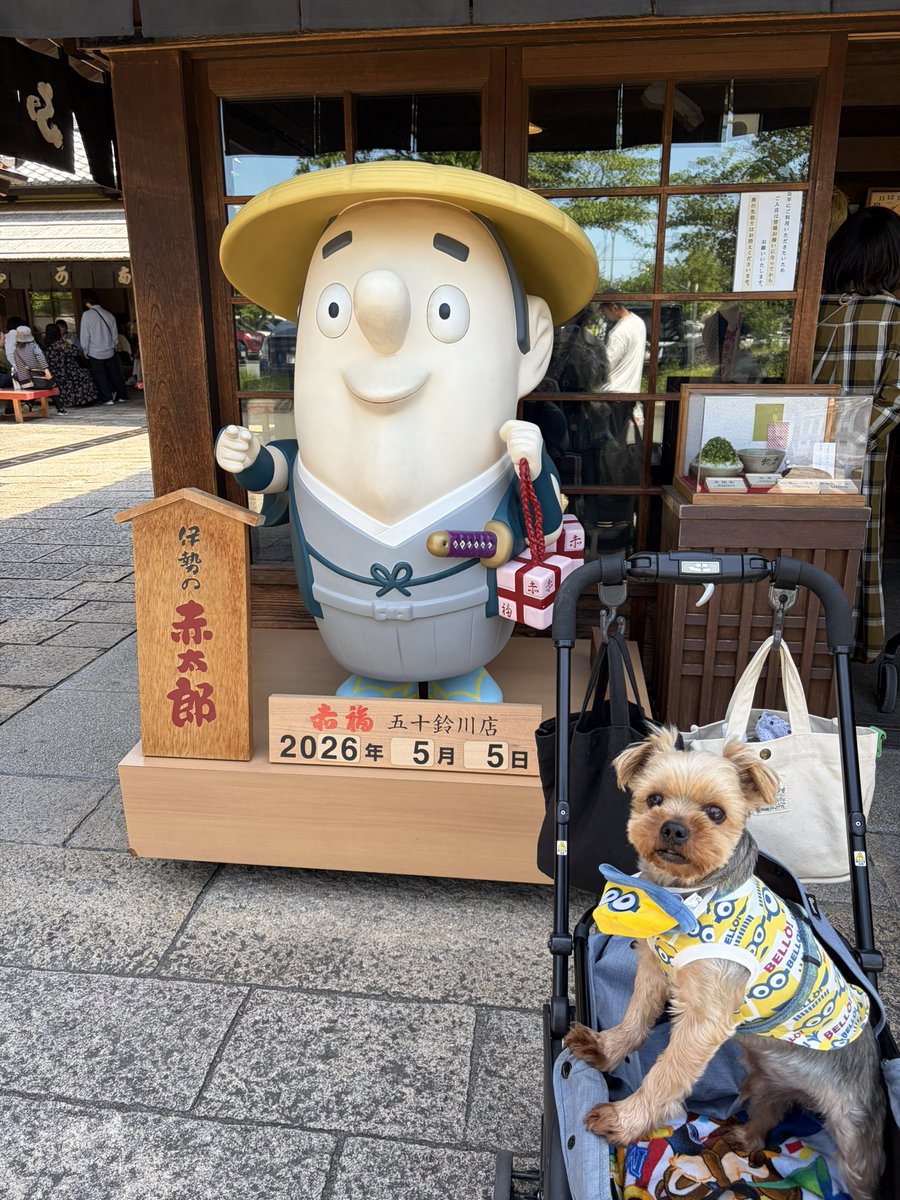 モカ tweet media