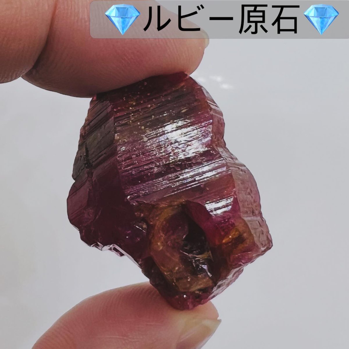 EARTH BRIDGE アースブリッジ tweet media