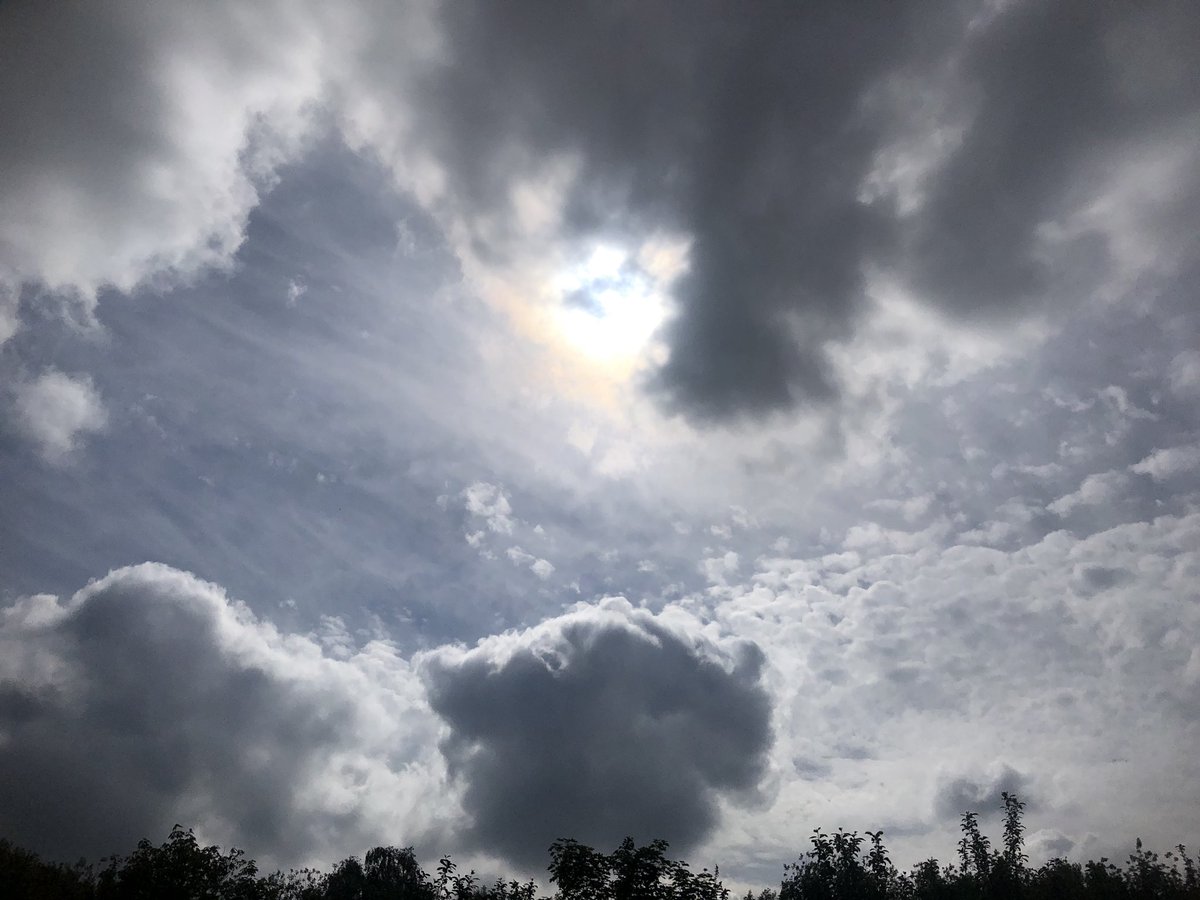 TubbyBats's tweet image. The #photos from todays #walk. It’s a little chilly with grey skies in expectation of rain.