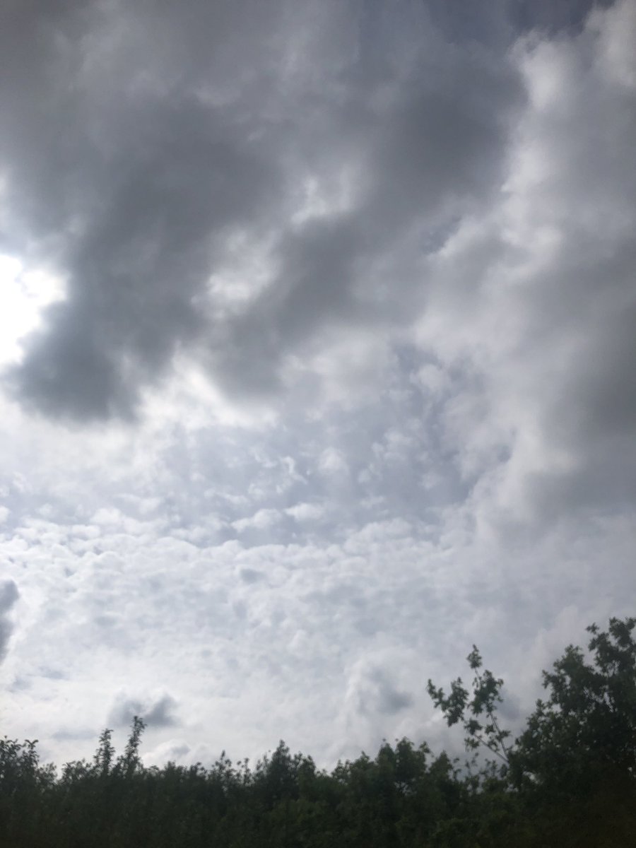 TubbyBats's tweet image. The #photos from todays #walk. It’s a little chilly with grey skies in expectation of rain.