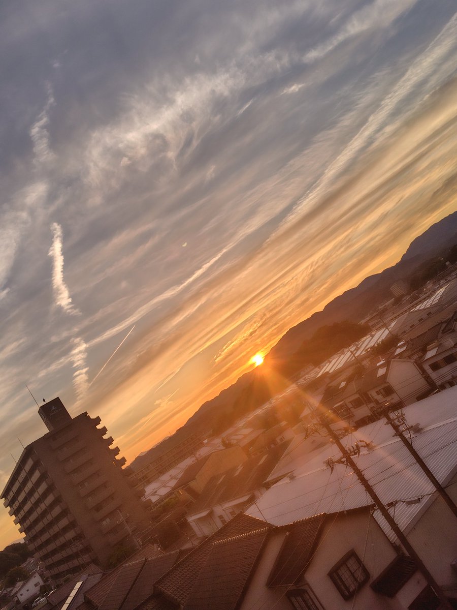 yoshito俺流ですが。なにか？ tweet media