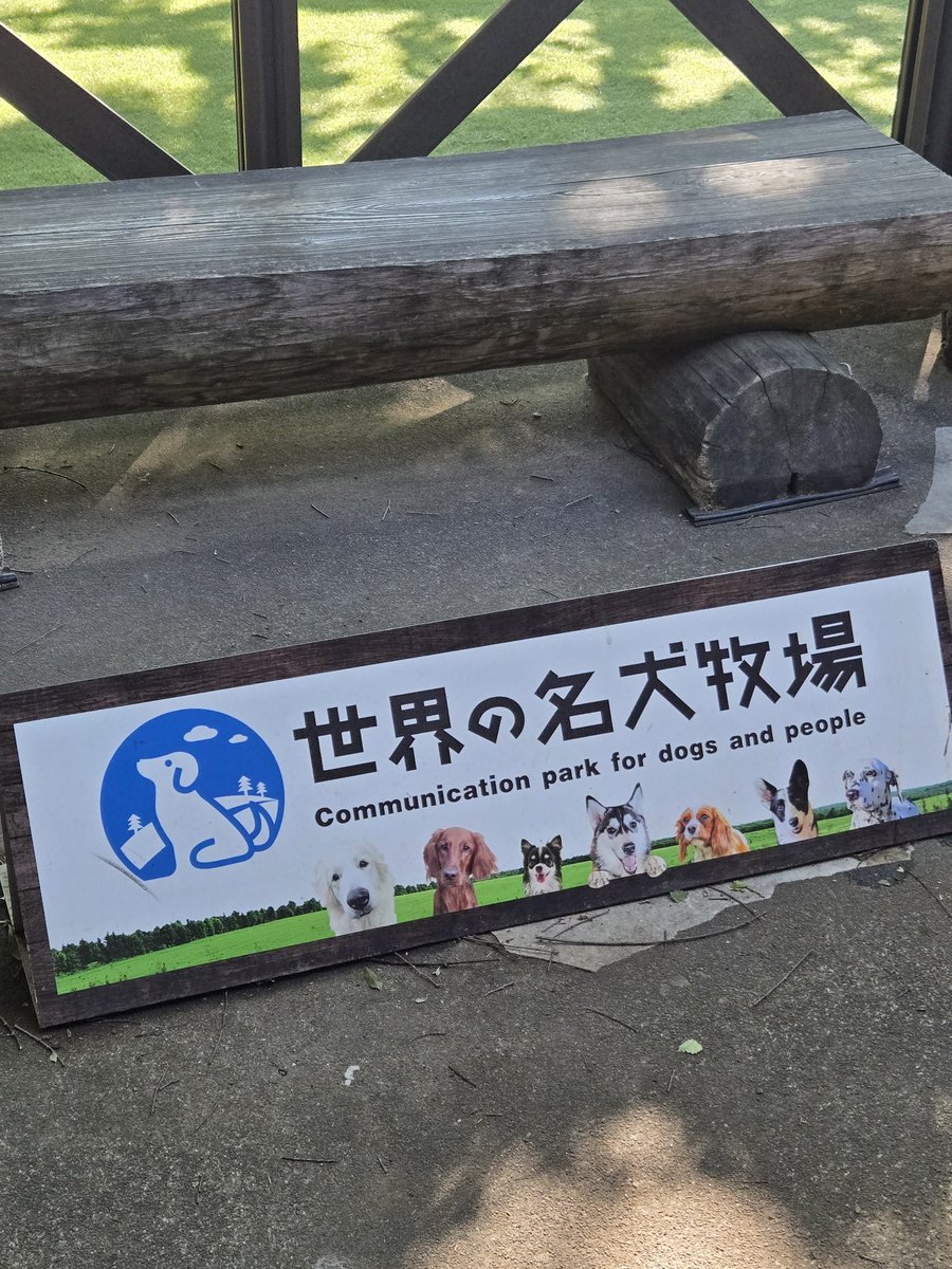 DogXyz's tweet photo. 二度目の名犬牧場！散歩したい子いたけど、９０分待ちはキツくてやめた https://t.co/D3ivk6fHjZ
