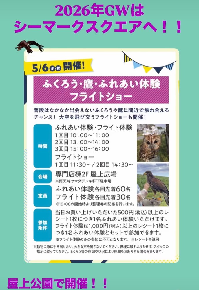 鷹の庵　5/6茨城県日立市「シーマークスクエア」 鷹匠体験+フライトショー tweet media