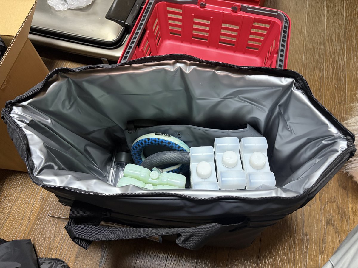 ショウ IPXX tweet media