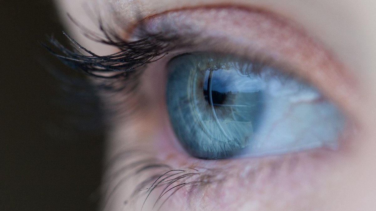 GMNISDN's tweet image. We will be sharing our experience of implementing a #stroke visual impairment pathway via a webinar on 20th May. Also launching a new toolkit and web resources - sign up now: gmnisdn.org.uk/events/visual-…