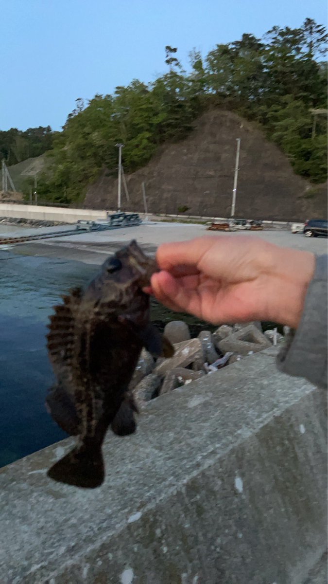 かじわら たくや tweet media