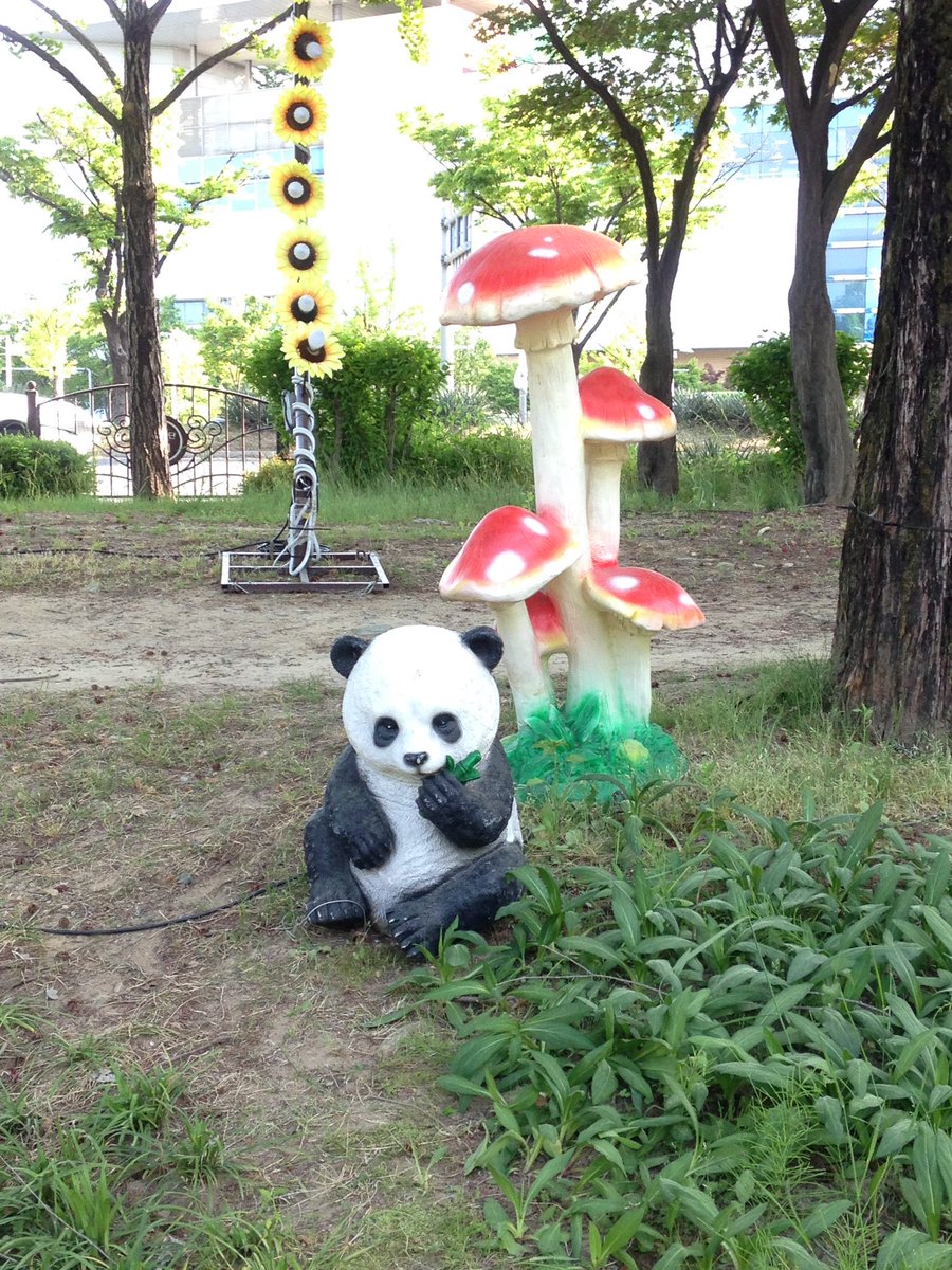 sumuiuimi's tweet photo. 지난주말에………. https://t.co/1ZRtv0VYRU