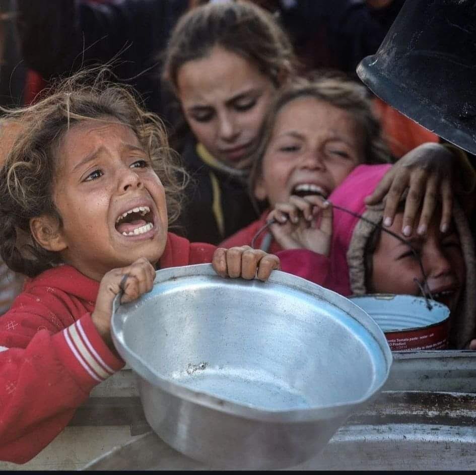 🇹🇷 Hür Aktivist 🇵🇸 tweet media