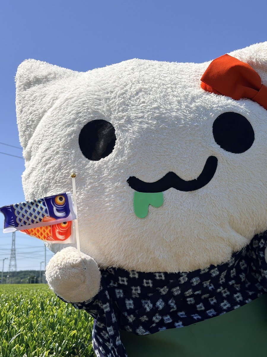 にゃーちゃ、🐈🍵✨ (@nyacha_udonneko) / Posts / X