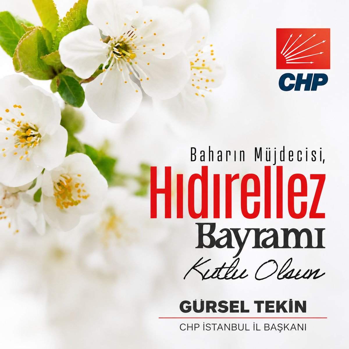 Gürsel Tekin tweet media