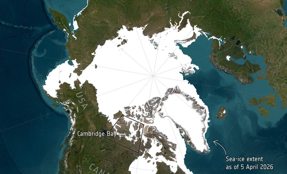 Arctic sea ice shrinks to second consecutive record low in 2026: 

earth.com/news/arctic-se…